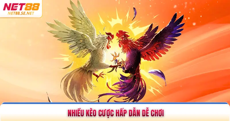 Nhiều kèo cược hấp dẫn dễ chơi